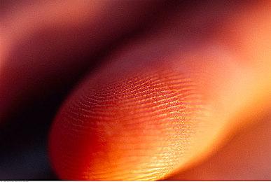 《马力欧激战前锋：战斗联赛》 确认由Next Level Games开发